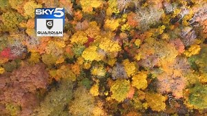 2.6K views · 73 reactions | SKY 5: Roan Mountain, TN during fall | WCYB | Facebook
