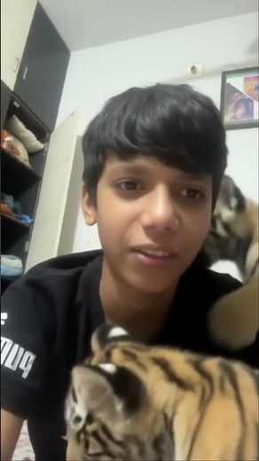 Tiger cups ￼🤯 editing ￼