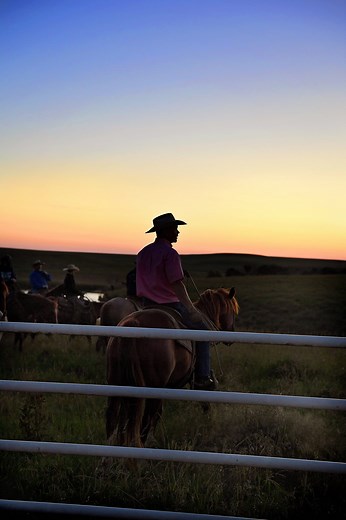 Ladd and Caleb Are Still Healing After Their Accident on the Ranch