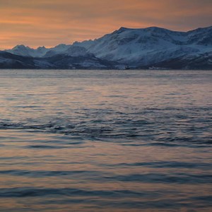 There's nothing quite like the sound of orcas in the sea. Stream all 6 episodes of #WelcomeToEarthSeries now on Disney . | National Geographic History