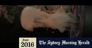 The science behind: the vortex cannon