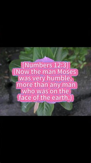 [Numbers 12:3]2025-12-14 [Sunday]#shorts #Christ#Church#Bible