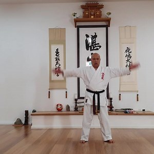 This afternoon, after kata class, one of our students asked Kancho to demonstrate Pinan 3. Here is an instructional video showing the kata slowly with descriptions, then slightly faster. This kata is for Sr Adv Yellow belts and Jr Adv Green belts. . . . . #jinseiryu #karate #martialarts #sydneydojo #kata #instructional #sensei #online | Jin Sei Ryu Karate-Do