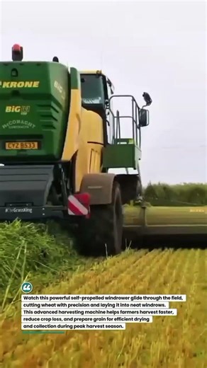 High-Speed Self-Propelled Windrower Harvesting Wheat Fast 🚜🌾 #AgriTech #FarmEquipment #Harvest