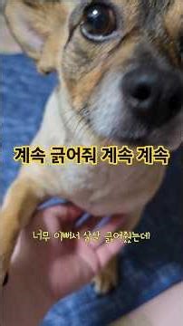 A mother's hand is a filial hand