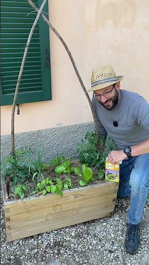 Lumache nell'orto: rimedio biologico