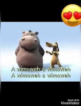 HIPPO & DOG The lion sleeps tonight songs