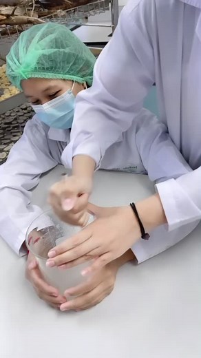 มาทำยาสมุนไพรกันค้าบ🤗🤗