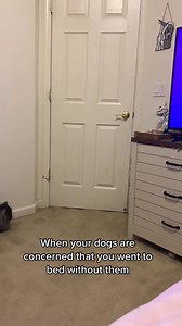 Doors are just a technicality 🫠🥲😅 Door frame art: Indie - commissions currently open 🫠🤭 | Indie.pittie