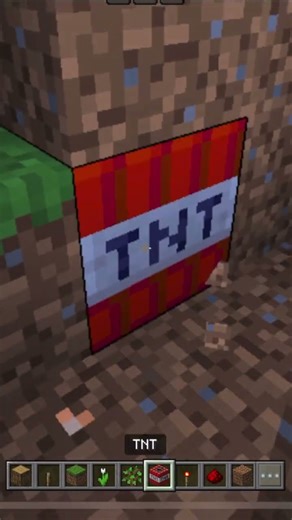 Minecraft TNT Trap! #minecraft