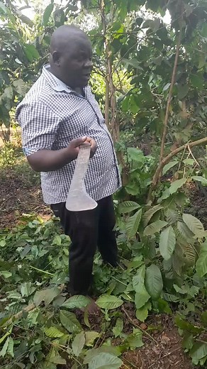 matovu (@matovu468)’s videos with original sound - matovu