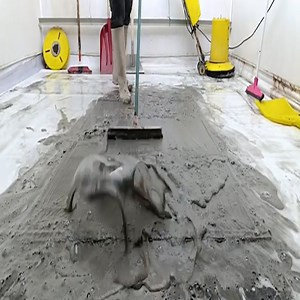 30K views · 194 reactions | Cleaning a very dirty and muddy carpet | Cleaning service | Facebook