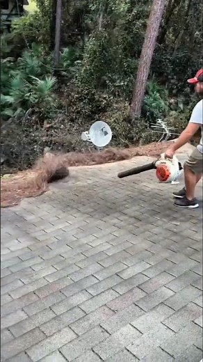 Extreme Roof Cleaning with Leaf Blower — Satisfying Cleanup Technology!