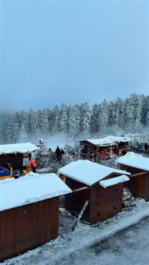 Emilio Gani on Reels