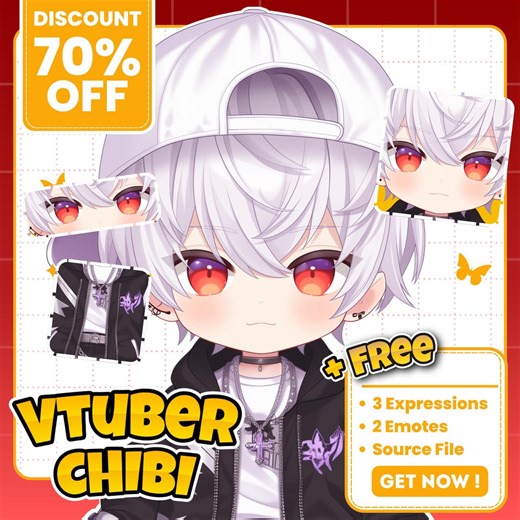 Custom Chibi Vtuber Model: Customizable Live2d Rigging for Twitch and Stream - Etsy