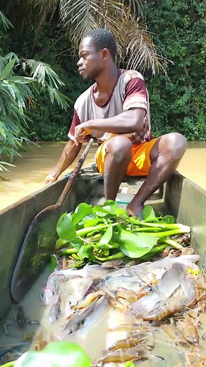 #fishing