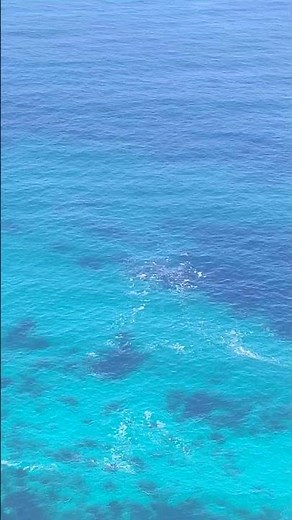 Cabo de Buena Esperanza. Cape Town. Sudáfrica #travel #capetown #sudáfrica