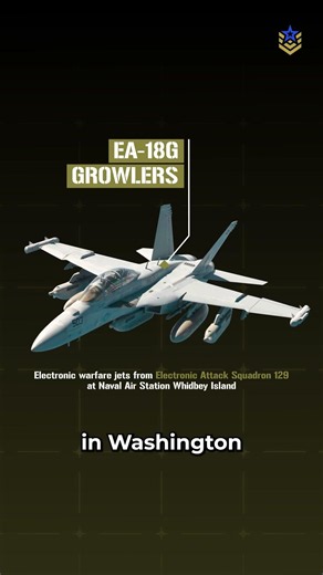 Two US Navy EA-18G Growlers Collide Mid-Air During Idaho Air Show