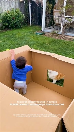 94K views · 1.4K reactions | it's the simple joys in life  #toddlers #dogsarethebest #fetch #playtimefun | Poke My Heart | Facebook