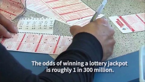 ‘No one believed me’: 18 coworkers win $1 million playing Powerball