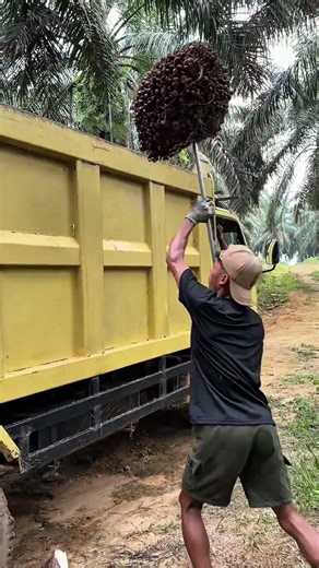 The Hidden Work Behind Palm Oil Production.