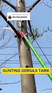 PROMO TERMURAH ALAT Gergaji Pemangkas/Pemotong Dahan Tree Pruner With Saw Multifungsi Cek promonya dikolom komentar #reels | Vj Faqih