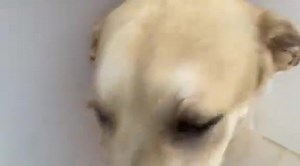 212 reactions | IT IS ANOTHER MIRACLE! ✨  Can you believe your...