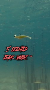 Blend in just enough to be the target. The NEW 3” Scented Jerk ShadZ is the perfect natural profile to match the hatch and maximize bites around small baitfish. #ScentedJerkShadZ #JerkShadZ #ZMan #ElaZtech #ZManFishing | Z-Man Fishing Products