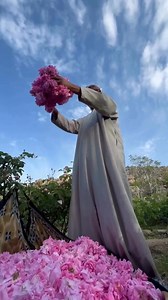 Oman Rose Harvesting in Jabal Akhdar ❤️🇴🇲 | OMAN UPTO DATE