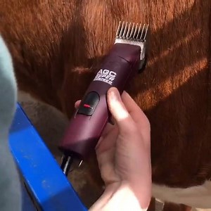 20 reactions | #AndisGrooming Educator @kirkstierwalt is clipping another day away in Oregon with the AGC Super 2-Speed Clipper!  | Andis Grooming | Facebook