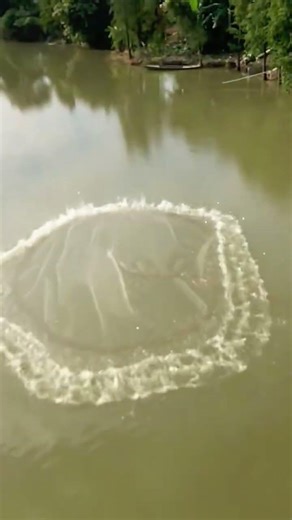 Cast Net Fishing The Right Way #fishing #castnet #technique