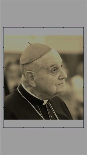 Cardinal | Sketch Grid ✏️