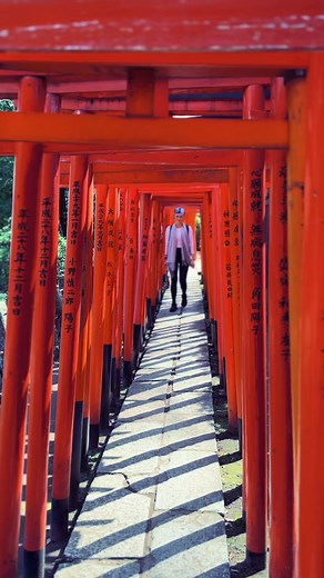 A torii (Japanese: 鳥居, [to.ɾi.i]) is a traditional Japanese gate most commonly found at the entrance of or within a Shinto shrine, where it symbolically marks the transition from the mundane to the sacred 🫶🏻 #toriigate #nezushrine #japan #tokyo #shinto
