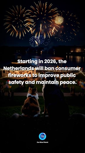 Beginning in 2026, the Netherlands will introduce a nationwide ban on the sale and use of consumer fireworks, marking a significant shift in how the country approaches public celebrations. The decision has been widely welcomed as a step rooted in compassion and practicality. It seeks to protect animals and wildlife, while also addressing the long-standing impact of fireworks on people who suffer from extreme noise, stress, and disruption. For years, animal welfare organizations and veterinarians