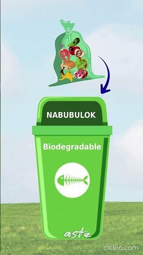 A Guide to Garbage Segregation