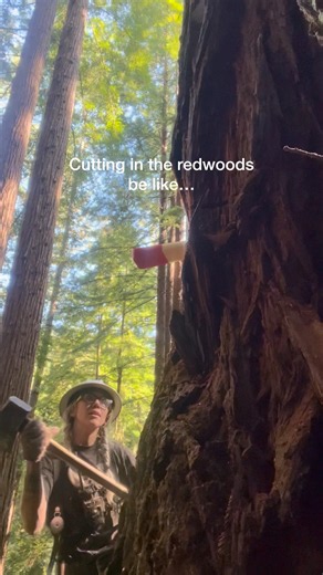 This one made me work for it a bit, but at least it was a twofer 🌲🌲 #timberfaller #timberfalling
