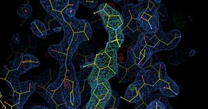 New molecular therapy by Scripps Research could stop many strains of flu