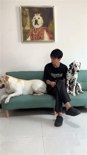 Dog: Can you squeeze me? Two little dogs together!