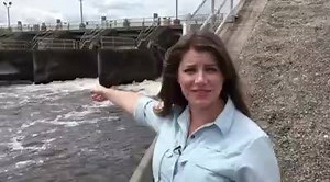 234K views · 1.5K reactions | Sick Dolphins, dying fish, flesh-eating bacteria, toxic algae--complicated doesn't even begin to explain water management in Florida. I'm working on sorting through the complicated web. More to come on weather.com... | Kait Parker | Facebook