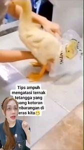 2.2M views · 5.2K reactions | Ternyata Begini Toh Caranya 藍藍 #short #reels #reelsfyp #fyp #bingdaily #viral #trending #vidiolucu #vidiokocak #bebek #bebeklucu #kandangayam #reelsfb #fbpro #fypage | Bing Daily | Facebook