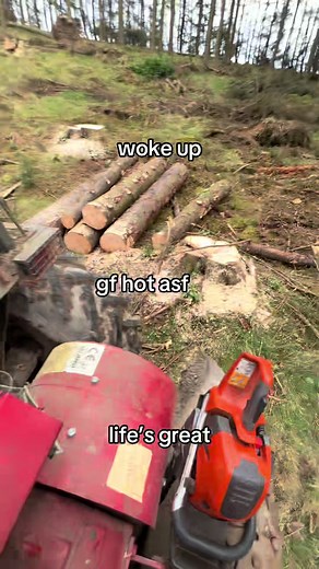 No gf chat get me one 🙏 #fyp #viral_video #tiktoktrending #relatable #blowup #arborist