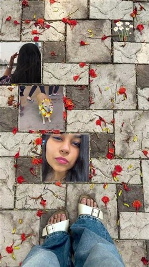 Comment for tutorial✨ #viral #foryou #ytshorts #love #creator #monkey #fyp #monkey #explorepage #fy