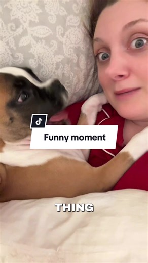 Hilarious Puppy Filming Moments Caught on Camera