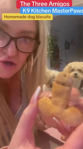 K9 Kitchen: Homemade Dog-Friendly Biscuit Recipes