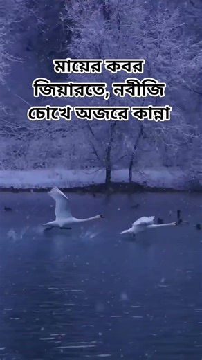 মায়ের কবর জিয়ারতে, নবীজি চোখে অজরে কান্না #mizanurrahmanazhari #waz