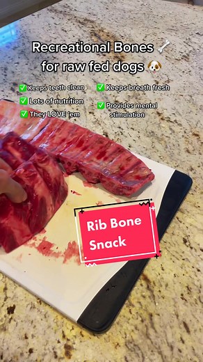 Can Dogs Have Rib Bones? Find Out Here!