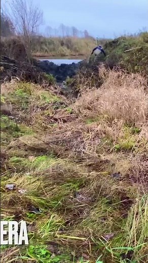 The Moment a Beaver Dam Breaks | Powerful Nature Event