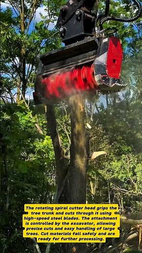 Powerful Tree Cutting Machine – High-Efficiency Forestry Technology