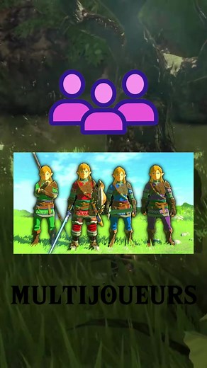 Tutoriel pour jouer à Zelda BOTW en multijoueur sur PC