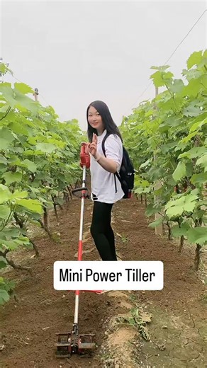 Agriculture Facts | News on Instagram: "Mini Power Tiller in action! Perfect for inter-row cultivation, weed control, and soil aeration in vineyards, gardens, and small farms. Smart farming starts with the right tools. (mini power tiller, handheld power tiller, rotavator machine, soil tiller, inter row cultivation, weed control machine, small farm tools, modern farming equipment, agriculture machinery, organic farming tools, vineyard farming, garden tiller, sustainable agriculture, farm innovati